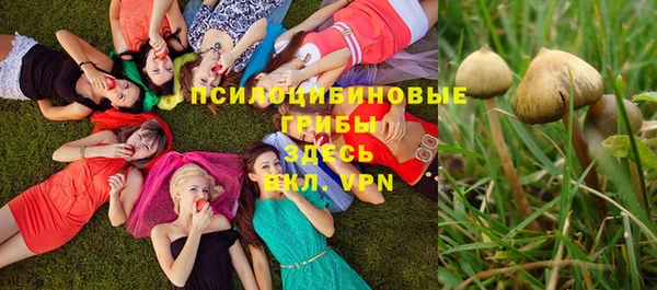 трава Сосновоборск