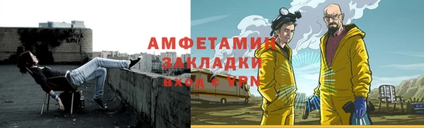 ПСИЛОЦИБИНОВЫЕ ГРИБЫ Сосновый Бор