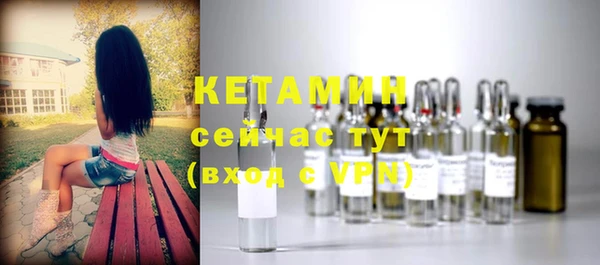 ПСИЛОЦИБИНОВЫЕ ГРИБЫ Сосновый Бор