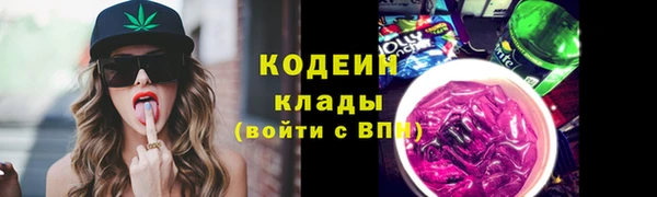 ПСИЛОЦИБИНОВЫЕ ГРИБЫ Сосновый Бор