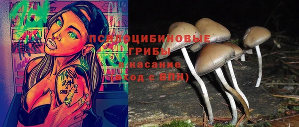 ПСИЛОЦИБИНОВЫЕ ГРИБЫ Сосновка
