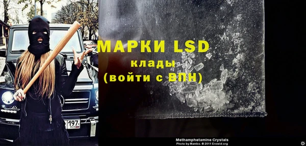 ПСИЛОЦИБИНОВЫЕ ГРИБЫ Сосновый Бор