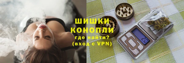 ПСИЛОЦИБИНОВЫЕ ГРИБЫ Сосновый Бор