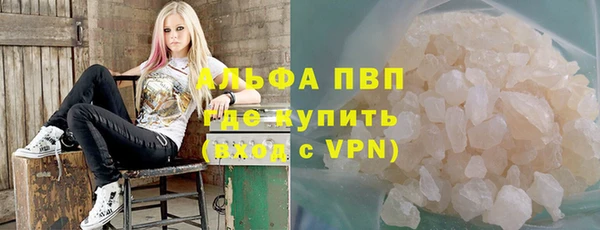 ПСИЛОЦИБИНОВЫЕ ГРИБЫ Сосновка